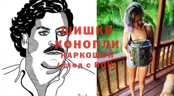 амф Арсеньев