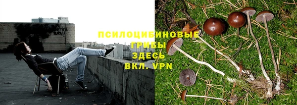 амф Арсеньев